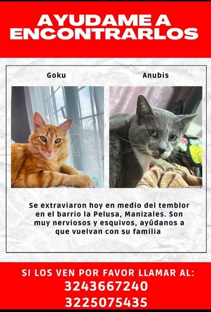 GOKU - ANUBIS / DESAPARECIDOS