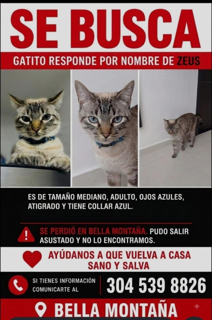 SE BUSCA - ZEUS -